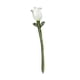 thumbnail image 4 of Flor De Vidrio Coleccionable, Arte Artesanal, Flor Artificial Para Su Aniversario, Mamá, 7,5 X 1,2 Cm, Color Blanco, 4 of 5