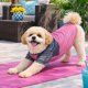 thumbnail image 4 of Playera para perro Pet Life Active Hybreed reflectante de alto rendimiento, 4 of 9