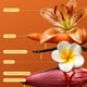 thumbnail image 2 of Body Mist Snif, bronceador, solar tropical, 75 ml, limpio y vegano, 2 of 7
