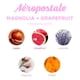 thumbnail image 3 of Velas aromáticas Aeropostale Magnolia Grapefruit, 3 of 5