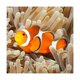 thumbnail image 4 of Linterna Proyector Animales Marinos Eureka, 4 of 4