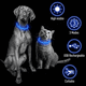 thumbnail image 5 of Collar LED para perros - Collar para perros con luz recargable por USB que brilla en la oscuridad., 5 of 6