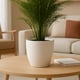 thumbnail image 5 of Macetero Umbra 27 Blanco Set x3 Unidades – Bosco, 5 of 7