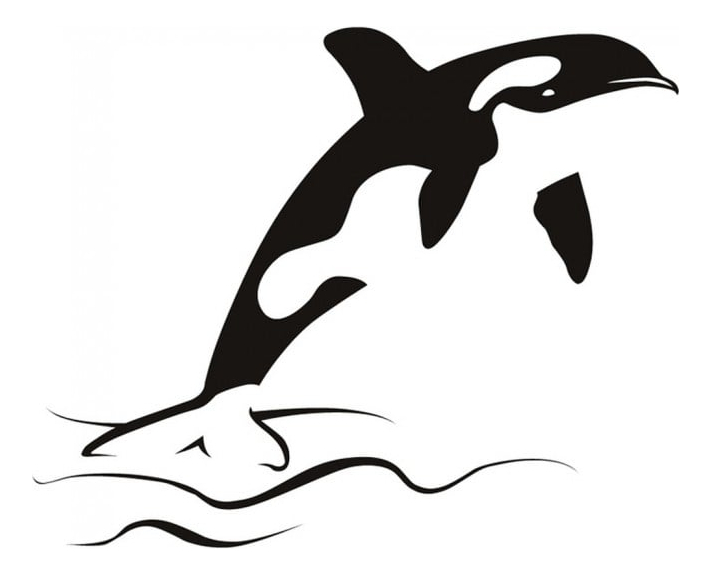 Rienda Libre Graphics - Decomural Killer Whale Under The Sea Ws-15925