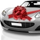 thumbnail image 1 of Lazo gigante para coche Zonon, 50 cm, con cinta roja de 6 m, 1 of 7