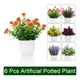 thumbnail image 2 of Plantas artificiales 6 pzs macetas bonsai, 2 of 3