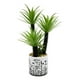 thumbnail image 1 of Planta Artificial Decorativa Adorno Hogar Moderno Jhn, 1 of 3