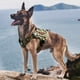 thumbnail image 5 of Arnés táctico para perros ONETIGRIS para todo el cuerpo, color verde L, 5 of 6