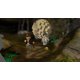 thumbnail image 5 of Videojuego Lego Indiana Jones: The Original Adventures Xbox 360, 5 of 9