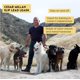 thumbnail image 2 of Correa de entrenamiento Cesar Millan 122 cm Negra/Beige, 2 of 3
