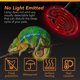 thumbnail image 4 of Emisor de calor Simple Deluxe Ceramic de 150 W para reptiles, paquete de 2, 4 of 6