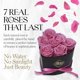 thumbnail image 2 of Bouquet de rosas preservadas | GLAMOUR BOUTIQUE Flowers, 2 of 9