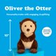 thumbnail image 5 of Figura de peluche Oliver la Nutria – 25 cm – SendAFriend, 5 of 6
