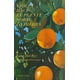thumbnail image 1 of Libro Violet Hace El Puente Sobre La Hierba, 1 of 2