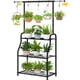 thumbnail image 1 of Soporte para plantas Simple Trending de metal, 45 x 13 x 64 pulgadas, 1 of 3