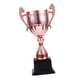 thumbnail image 1 of Trofeos De Premios Premios Trofeos Pequeños Para Niños Para Celebraciones De Fiestas Accesorios Para Eventos Cobre M, 1 of 5
