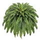 thumbnail image 1 of Plantas artificiales de helechos artificiales Galebeiren, 50 plantas grandes con 98 hojas, 1 of 8