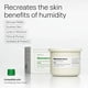 thumbnail image 2 of Crema Facial Humanrace Recarga Hidratante 12 Horas 70 ml, 2 of 9