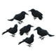 thumbnail image 3 of 6x simulación de cuervos de Halloween, accesorios de pájaros, cuervos con plumas negras, cuervos de Halloween y decoración para decoración del hogar, 3 of 5