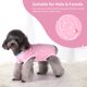 thumbnail image 4 of Traje de recuperación para perros Pawcomon, ropa quirúrgica anti lamido, 4 of 6