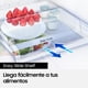 thumbnail image 5 of Refrigerador Top Mount No Frost 256 Litros RT25FARADS8, 5 of 10