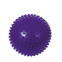 Dactic - Pelota Puercoespín 30Cm