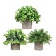 thumbnail image 3 of 3 Piezas De Peque?as Plantas Falsas En Maceta Para Estante, Sala De Estar, Ba?o, Estilo I, 3 of 5