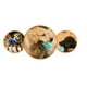 thumbnail image 3 of Juguete Para Morder Bola Limpia Dientes Para Mascotas, 3 of 3