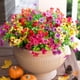 thumbnail image 1 of Flores artificiales HyeFlora Daisy con eucalipto, 12 paquetes, 1 of 7