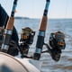 thumbnail image 4 of Carrete de spinning Daiwa BG8000 BG para agua salada, 4 of 6