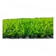 thumbnail image 2 of Pasto Sintetico Fresia 15mm Rollo 2 x 10 Metros, 2 of 3
