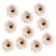 thumbnail image 1 of 10 piezas de gerbera artificial margarita flores cabezas para diy caqui, 1 of 3