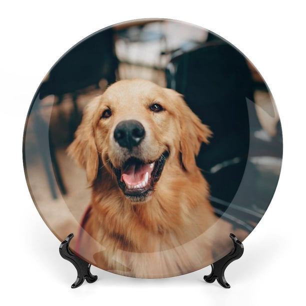 Golden Retriever Plato decorativo de porcelana fina (bone china), plato decorativo de cerámica para hogar, oficina, soporte de pared, platos decorativos para dormitorio - 6 pulgadas (15 cm)