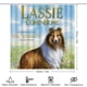 thumbnail image 2 of Lassie-theme 4-Piece Shower Curtain Set with Rugs, Waterproof Bathroom Decor Set Includes Bath Mat, U-Shaped Rug, Toilet Lid Cover and Curtain with Hooks, 2 of 6