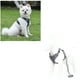 thumbnail image 2 of Arnés Para Perro Ajustable Con Correa Reflectantes M, 2 of 8