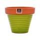 thumbnail image 3 of Maceta Kony 19 cm TerraVerde + Plato, 3 of 5