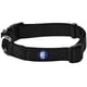 thumbnail image 1 of Collar para perro Blueberry Pet Essentials X-Small de nailon negro, 1 of 5