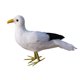 thumbnail image 3 of Pluma De Pájaro Artificial Realistic Home Garden Decor Ornamento Gaviota 1, 3 of 3