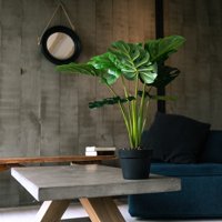 Vadell Home - Monstera De 60 Cm
