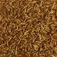 thumbnail image 3 of Bolsa Kaytee de Mealworms de 200 ml con alto contenido de proteínas y alto contenido energético, 3 of 6