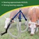 thumbnail image 4 of Elevador de Vacas USUNFARM 2000 kg Asistente de Cadera Ajustable, 4 of 8