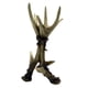 thumbnail image 1 of Candelabro De Asta De Ciervo Creativo Para Mesa De Comedor, Navidad, Día De San Valentín, 1 of 3