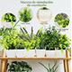 thumbnail image 2 of Plantas artificiales 6 pzs macetas bonsai, 2 of 3