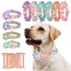 thumbnail image 5 of Collar Y Correa Para Perro Ajustable Con Hebilla Dorada Fuerte, Hermoso Lazo Y Ribete Floral., 5 of 5