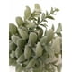 thumbnail image 3 of Arbusto Money Gris Artificial, 3 of 3