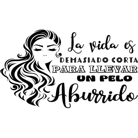 Rienda Libre Graphics - Frase Deco La Vida Es Demasiado Corta Para Llevar Fr-11073