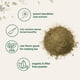 thumbnail image 3 of Microingredientes de té de raíz de diente de león en polvo 227 ml, 3 of 6