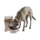 thumbnail image 1 of Alimentador Petmate Pet Cafe Pearl Tan para perros y gatos, 5,4 kg, 1 of 8