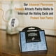 thumbnail image 3 of Pantry Moth Traps Premium Double Potent del Dr. Killigan (6), 3 of 9