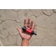 thumbnail image 2 of Sistema de filtración de agua Sawyer Products SP120 Mini Red, 2 of 3